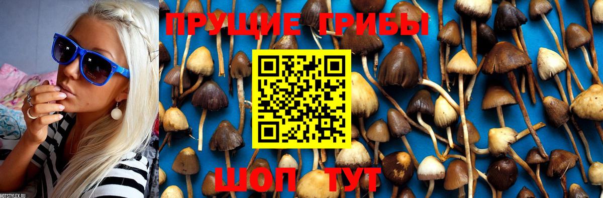 Новочеркасск  Псилоцибиновые грибы MAGIC MUSHROOMS  Вход с VPN 
